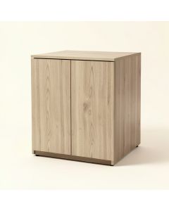 Jaylin Storage Cabinet (synthetic illustration; no displayed measurements)