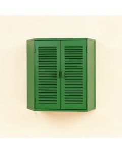 Ridge Branch Wall-Mounted Laundry Cabinet - Green (synthetic illustration; no displayed measurements)