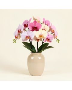 Orchid Floral Arrangement In Vase (synthetic illustration; no displayed measurements)