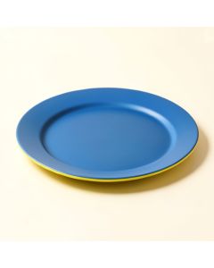 Mcgavock 9 '' Melamine Salad Plate (synthetic illustration; no displayed measurements)