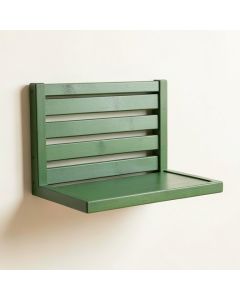 River Crossing Wall-Mounted Entryway Organizer Shelf - Green (synthetic illustration; no displayed measurements)
