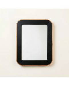 Clay Branch Framed Wall Mirror - Black (synthetic illustration; no displayed measurements)