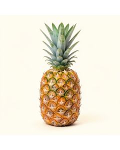 Pineapple (synthetic illustration; no displayed measurements)