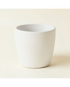 Timmer Resin Pot Planter (synthetic illustration; no displayed measurements)