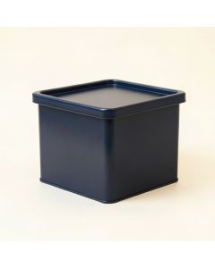 Linden Branch Closed Outdoor Storage Box - Navy (synthetic illustration; no displayed measurements)