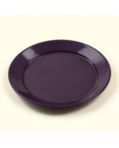 7 '' Melamine Appetizer Plate (synthetic illustration; no displayed measurements)