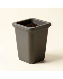 Demonte Self Watering Plastic Window Box Planter (synthetic illustration; no displayed measurements)
