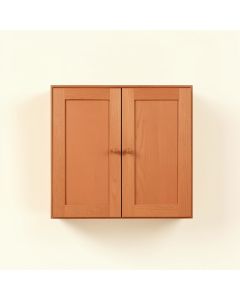 Willow Dell Wall-Mounted Entry Cabinet - Terracotta (synthetic illustration; no displayed measurements)