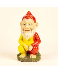 Gnome Garden Statue (synthetic illustration; no displayed measurements)