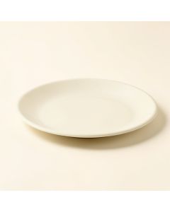 Bay Platter (synthetic illustration; no displayed measurements)