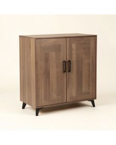 Miya 2 Door Accent Cabinet (synthetic illustration; no displayed measurements)