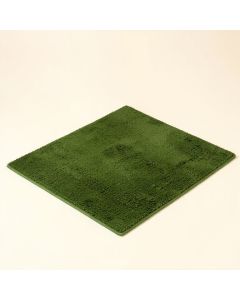 Littell Hand-Hooked Wool Green Area Rug (synthetic illustration; no displayed measurements)
