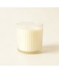 Elm Branch Empty Candle Holder - Ivory (synthetic illustration; no displayed measurements)
