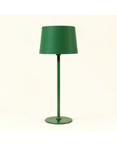 Alder Canyon Floor Lamp With A Plain Fabric Shade - Green (synthetic illustration; no displayed measurements)