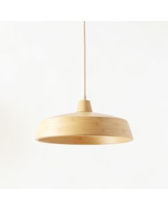 Briar Dale Pendant Light Suspended From One Plain Cable - Beige (synthetic illustration; no displayed measurements)