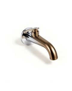 Trinsic Wall Mounted Bathroom Faucet (synthetic illustration; no displayed measurements)