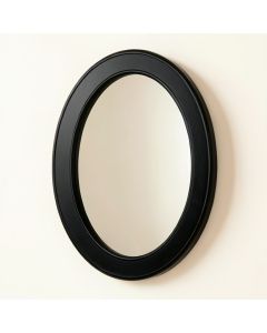 Hill Branch Framed Wall Mirror - Black (synthetic illustration; no displayed measurements)
