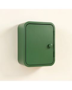 Vale Brook Wall-Mounted Laundry Cabinet - Green (synthetic illustration; no displayed measurements)