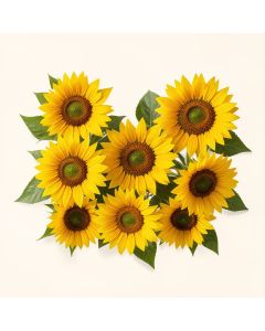 Sunflowers Border Wall Decal (synthetic illustration; no displayed measurements)