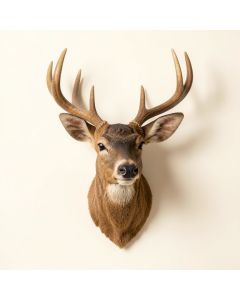 Large Deer Head Faux Taxidermy Wall Décor (synthetic illustration; no displayed measurements)
