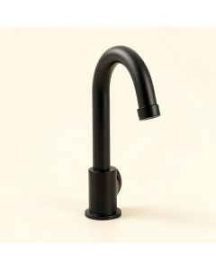 Align Pull Down Single Handle Kitchen Faucet With Duralock (synthetic illustration; no displayed measurements)