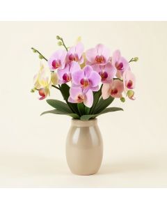 Orchids Floral Arrangement In Vase (synthetic illustration; no displayed measurements)