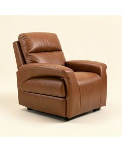 Starr 46 '' Wide Faux Leather Manual Standard Recliner (synthetic illustration; no displayed measurements)