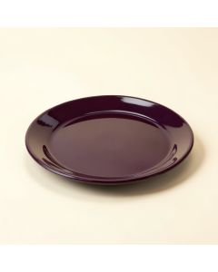 Pebble Creek 6 '' Melamine Appetizer Plate (synthetic illustration; no displayed measurements)