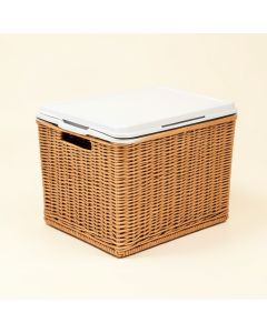 80 Qt . Cooler (synthetic illustration; no displayed measurements)