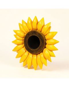 Wacky Sun (synthetic illustration; no displayed measurements)