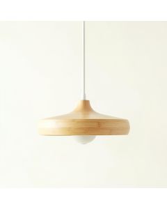 Field Crossing Pendant Light Suspended From One Plain Cable - Ivory (synthetic illustration; no displayed measurements)