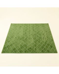 Harbor Bluff Rectangular Area Rug - Green (synthetic illustration; no displayed measurements)
