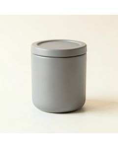 Alder Branch Storage Canister With Lid - Gray (synthetic illustration; no displayed measurements)