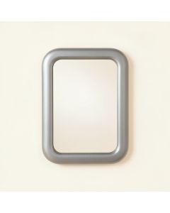 Hazel Branch Framed Wall Mirror - Gray (synthetic illustration; no displayed measurements)