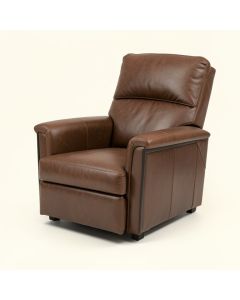 46 '' Wide Faux Leather Power Lift Assist Standard Recliner (synthetic illustration; no displayed measurements)
