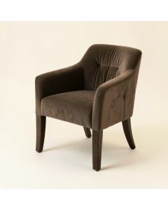 Moultrie Soft Padded Queen Anne Back Side Chair (synthetic illustration; no displayed measurements)