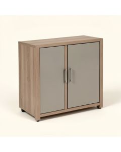 Bushland Storage Unit 2 Door Accent Cabinet (synthetic illustration; no displayed measurements)