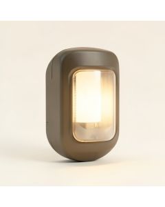 Schutt 2-Light Outdoor Bulkhead Light (synthetic illustration; no displayed measurements)
