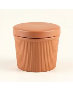 Maple Arc Storage Canister With Lid - Terracotta (synthetic illustration; no displayed measurements)