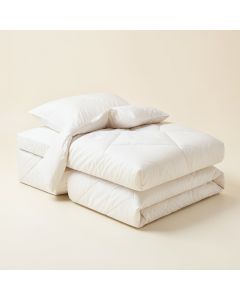 Placencia 3 Piece Queen Duvet Cover Set (synthetic illustration; no displayed measurements)