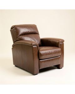 Dayse 31 '' Wide Genuine Leather Manual Standard Recliner (synthetic illustration; no displayed measurements)