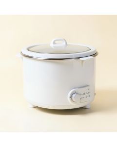 Marinade Express 3 Qt . Pro Tabletop Slow Cooker (synthetic illustration; no displayed measurements)