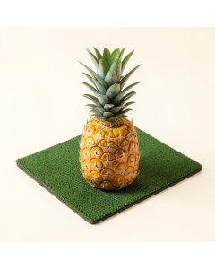 Fagan Welcome Pineapple 30 In . X 18 In . Non-Slip Outdoor Door Mat (synthetic illustration; no displayed measurements)