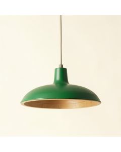 Hazel Bridge Pendant Light Suspended From One Plain Cable - Green (synthetic illustration; no displayed measurements)