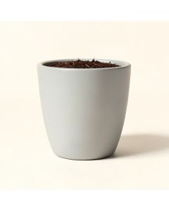 Friedman Pot Planter (synthetic illustration; no displayed measurements)