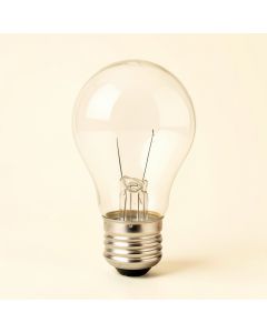 60 Watt , A19 Incandescent Dimmable Light Bulb , 2200K E26/Medium ( Standard ) Base (synthetic illustration; no displayed measurements)