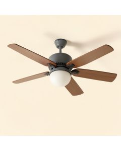 20 '' Haya 3 - Blade Caged Ceiling Fan With Remote Control And Light Kit Included (synthetic illustration; no displayed measurements)