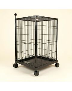 Zora 30.4 '' Steel Flat Top Floor Bird Cage With Wheels (synthetic illustration; no displayed measurements)