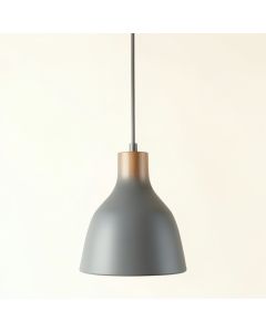 Vale Crest Pendant Light Suspended From One Plain Cable - Gray (synthetic illustration; no displayed measurements)