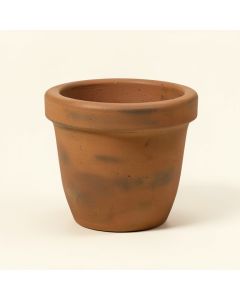 Brooks Cement Pot Planter (synthetic illustration; no displayed measurements)